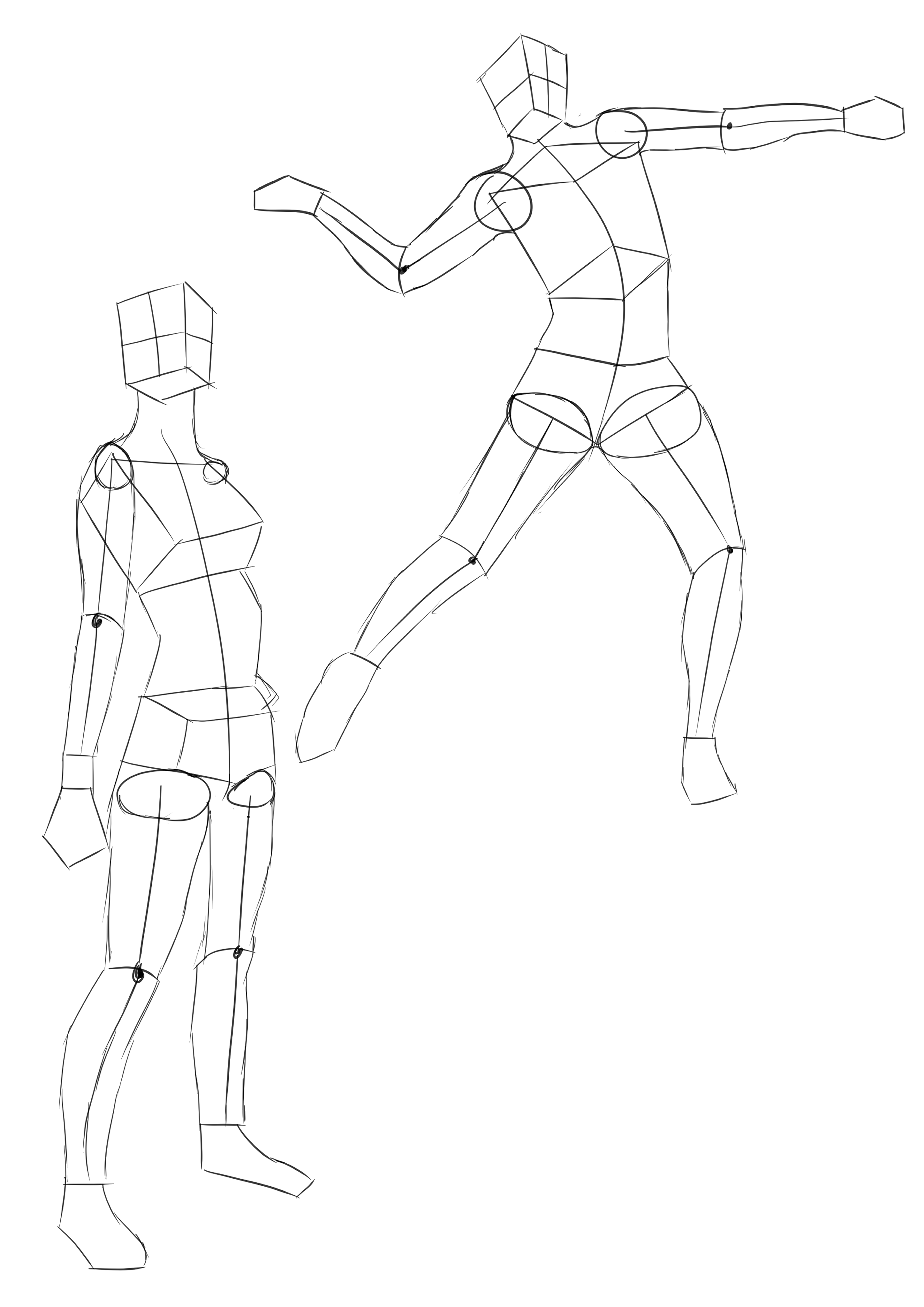 Anatomy Drawing 1